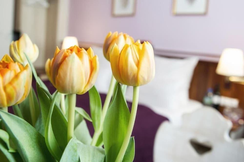 Hotel Elch Boutique Nürnberg Kültér fotó